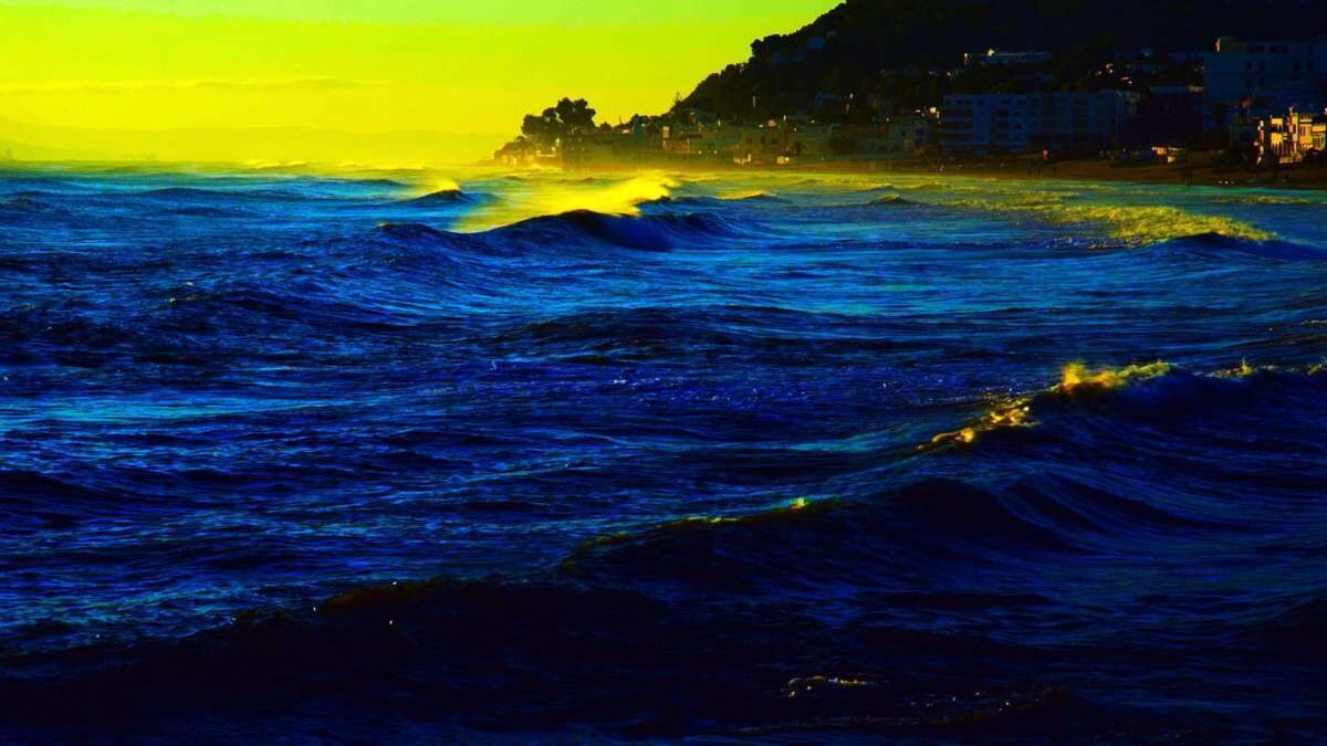 Coming up <a href="/LEFFEST/">LEFFEST</a> in Lisbon — leffest.com/en/events

Masterclasses: Ryusuke Hamaguchi, Leos Carax, and Cristi Puiu.

Exhibitions: Godard and Khalik Allah. 

Conversations: Víctor Erice + Pedro Costa and Laurie Anderson + Gina Gershon.