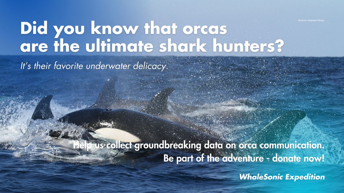 Joseph Mine tweet media