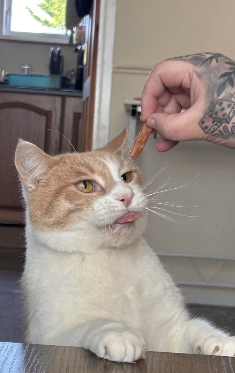 Percy👀 tweet media