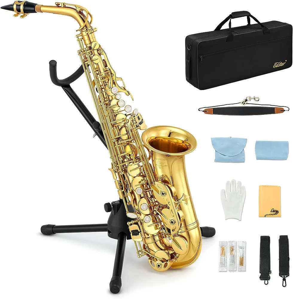 Please bless me, gift me with an alto saxophone. It's my primary instrument. 😢😢