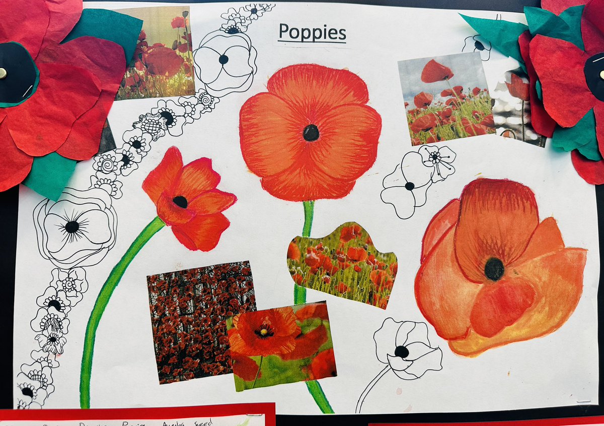 DTC_ECTLead's tweet photo. Part 2: Accompanying our poppy installation, students have made prints, paintings, collages and drawings to commemorate Remembrance Day. They have worked hard to create fantastic pieces of work and you can see them on display in our academy reception. @DixonsTC https://t.co/BIuSQ3o42x