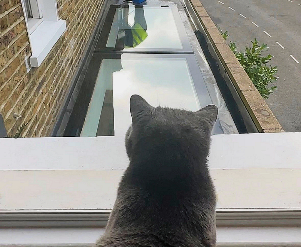 ritec_systems's tweet photo. What does a homeowner do when they want easier to #clean #rooflights? They contact #RitecInternational to apply #nonstick #easyclean #ClearShield®! Val, the interior designer behind the popular @no5_thehouse Instagram account, sought our help. Read more: https://t.co/DH1iGijvux https://t.co/PTajkaNfIy