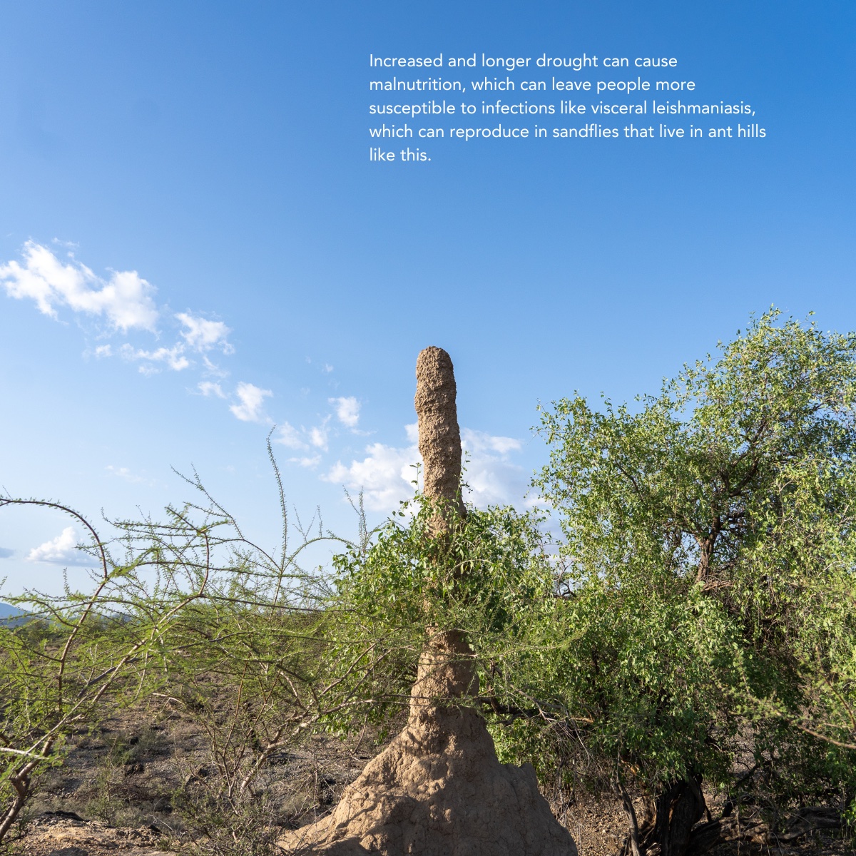TheENDFund's tweet photo. As the effort to #BeatNTDs aligns more with the SDGs, issues like the impact of climate change on NTDs is beginning to be explored. While the investigation into the threat continues, we know that changing patterns like flooding and drought will have an impact on #NTDs. https://t.co/E4nEKghSCr