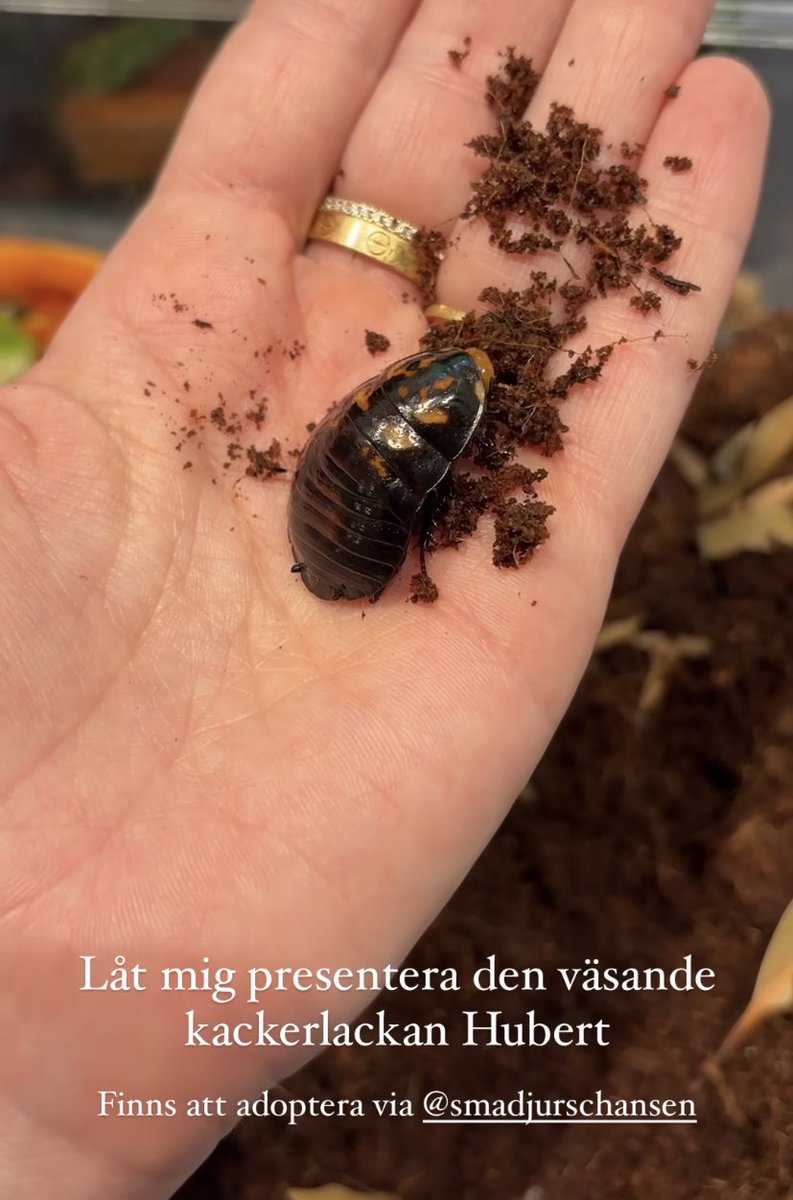 jag känner mest att det räcker nu.