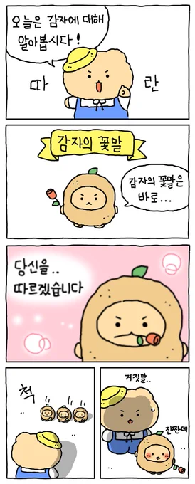 감자에 대해 알아보자.. (1/2) 