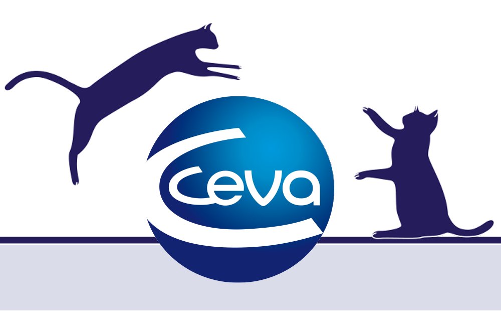 CevaSanteAnimal's tweet photo. 🐱𝗧𝗵𝗲 𝗰𝗮𝘁 𝗶𝘀 𝘁𝗵𝗲 𝗻𝗲𝘄 𝗱𝗼𝗴! 🐶
In collaboration with the @IVC_Evidensia Academy, we are launching a new course on #FelineBehaviour to enhance our mutual understanding of cat welfare, leading to happier cats, clients, and clinic staff.
#Cattitude #AnimalHealth https://t.co/l8CPQJ5ctv