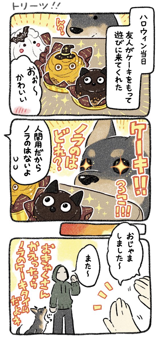 トリートorトリート(圧)
#漫画が読めるハッシュタグ #犬漫画 