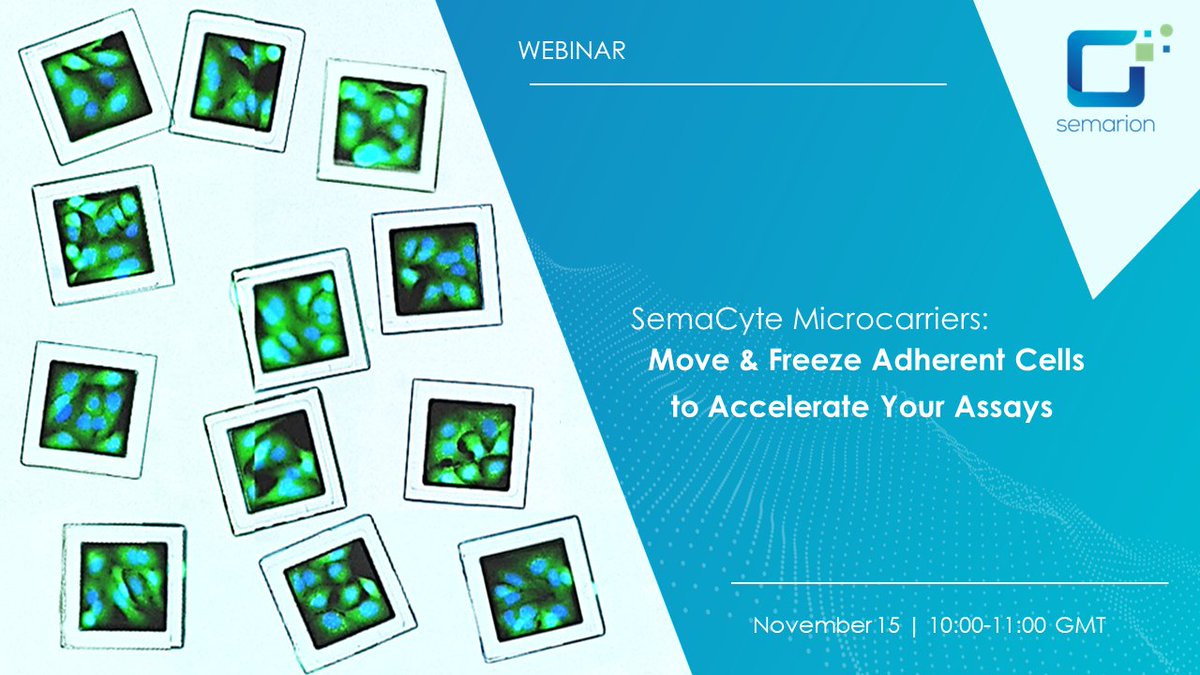 Semarion (@semarion_ltd) on Twitter photo WEBINAR about SemaCyte Cell Assaying Microcarriers
đź§«Ultra-miniaturized, mobile wells to move and freeze cells while preserving their adherent morphology
🚀Flexibility, speed, miniaturization for cell assays
📅 November 15 | 10:00-11:00 GMT | Register: events.teams.microsoft.com/event/45ef4cff… WEBINAR about SemaCyte Cell Assaying Microcarriers
đź§«Ultra-miniaturized, mobile wells to move and freeze cells while preserving their adherent morphology
🚀Flexibility, speed, miniaturization for cell assays
📅 November 15 | 10:00-11:00 GMT | Register: events.teams.microsoft.com/event/45ef4cff…