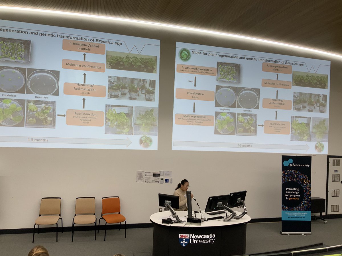 NikkiW_Hortic's tweet photo. Really interesting to hear from Dr. Ruma Debbarma about the new @uniofwarwick Elizabeth Creak Horticulture Technology Centre, and the work they are doing using GE in horticultural crops. @GenSocUK #geneticsfoodrevolution https://t.co/fvWF2hoGy4