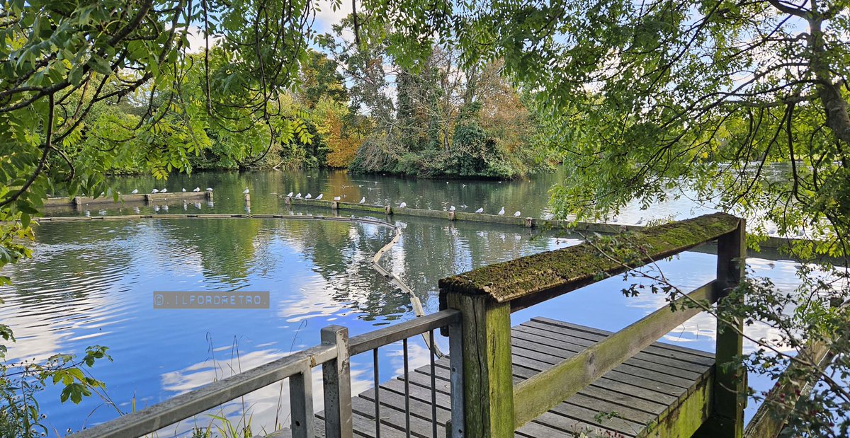 South Park is one of Ilford's jewels and not as often spoken about as Valentines Park.  Equally well-loved however, South Park has a rich history and in Sunday's episode we will look at it, along with some of its seasonal colours...