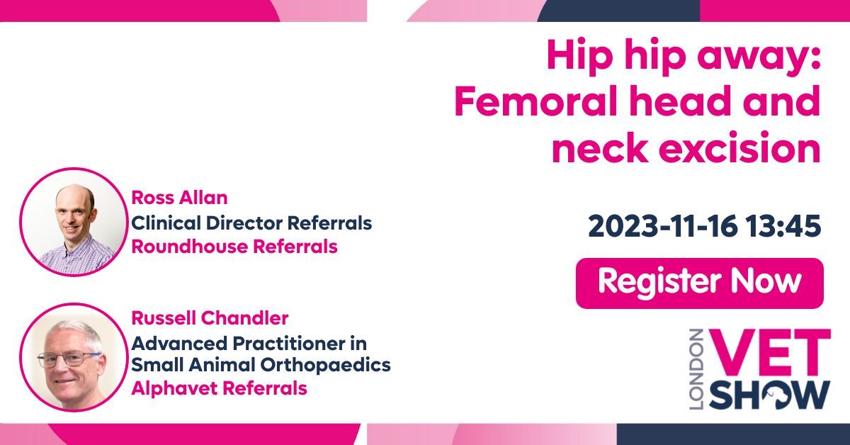 RossAllanVet's tweet photo. FHNE has sold out, but there are still other practical courses available for veterinarians at the London Vet Show. Take a look below 👇

https://t.co/nqiIpN7iDH #veterinary @petsnvets #VetTeam @CentralCPD #CloserStill #LVS2023 #LVS @VetShow #CentralCPD https://t.co/uJHkEmmrMB