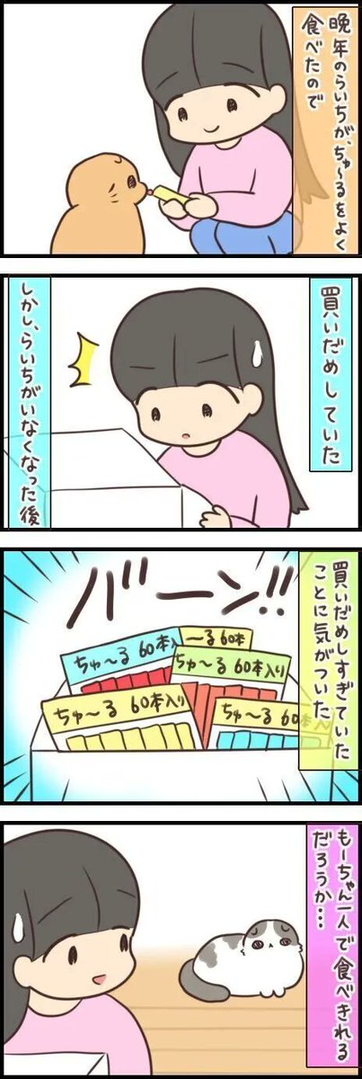 大量に買いだめしたおやつ。1匹だけで消費できるかな…と思ったけれど【連載】もふもふスコたん#302|ねこのきもちWEB MAGAZINE 