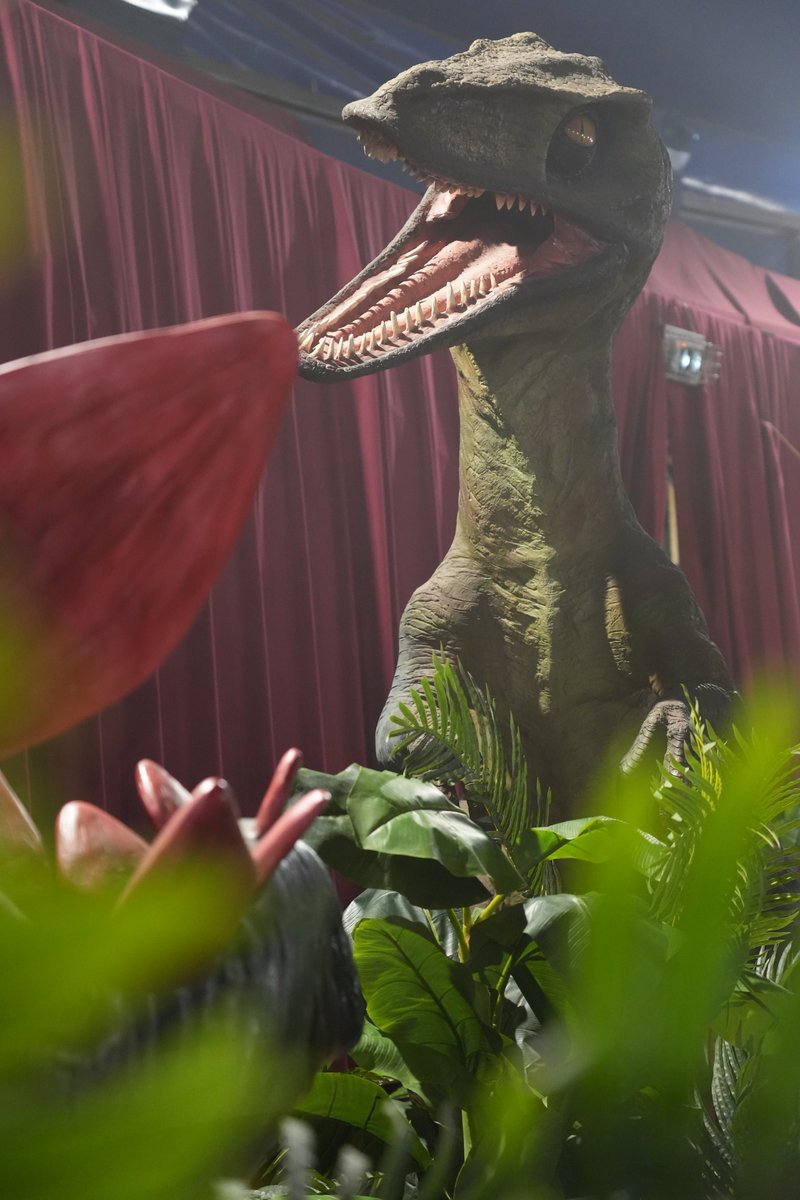 dinomusee's tweet photo. La photo du jour. Le Musée Éphémère vous attend samedi et dimanche au parc des expositions de Metz réservation des places ici: https://t.co/IHdUxs8ZoT https://t.co/R1KuNxkCrx