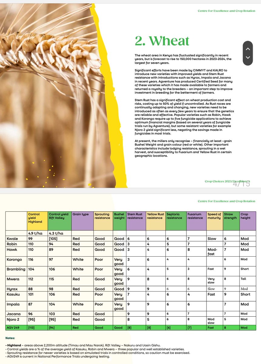 David_Agronomy's tweet photo. Crop Choices Variety Guide can now be found online. Completely independent trial info on varieties of wheat, barley, maize, peas, sunflowers and canola: https://t.co/P2dQBbJ1W7 https://t.co/sPaY0xcL5i