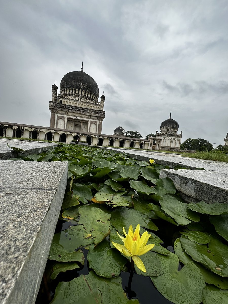 ma_katikati's tweet photo. The stucco marvels of #qutubshahitombs . Please visit if you haven’t! #hyderabad https://t.co/8h6wXxNgdb