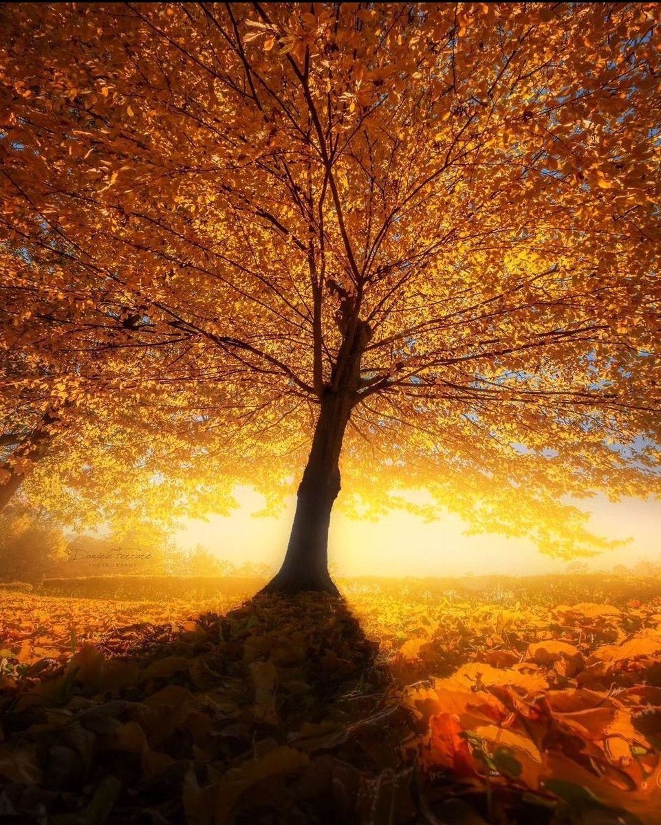 shoaibjiii's tweet photo. @LoveSongs4Peace https://t.co/JBcHbfybQD
