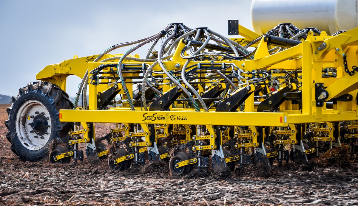 Seed Storm tweet media