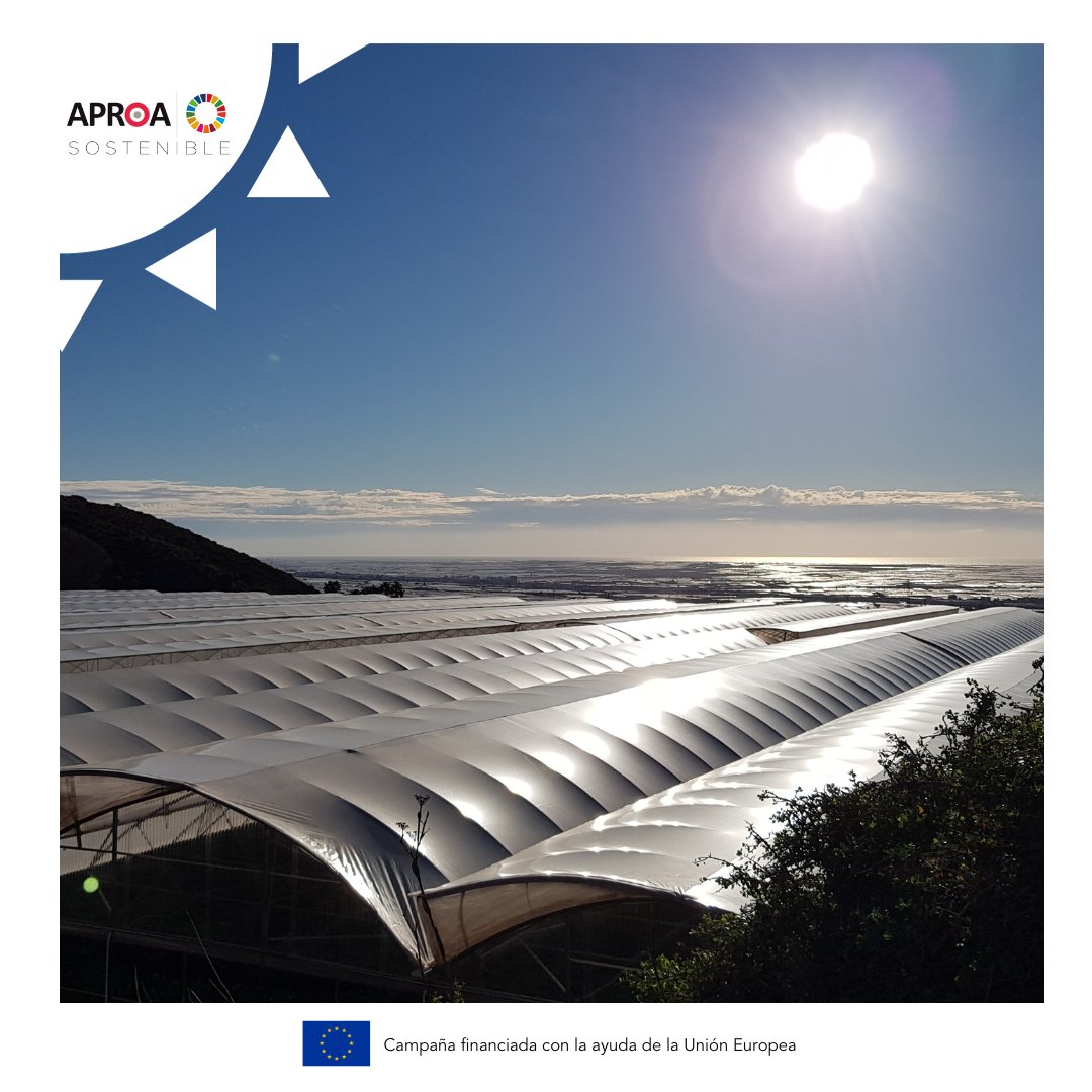 Gracias a que nuestros invernaderos se encuentran al sur de España, y contamos con uno de los climas más soleados de Europa, nuestro método de producción en invernadero solar es principalmente el sol ☀ 
Optimizamos los recursos naturales, menos suelo, menos agua y biodiversidad.