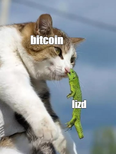 dancinglizardio's tweet photo. $LIZD #Crypto #Memes #Memecoin #Bitcoin #DancingLizard https://t.co/63CPAVGQOJ
