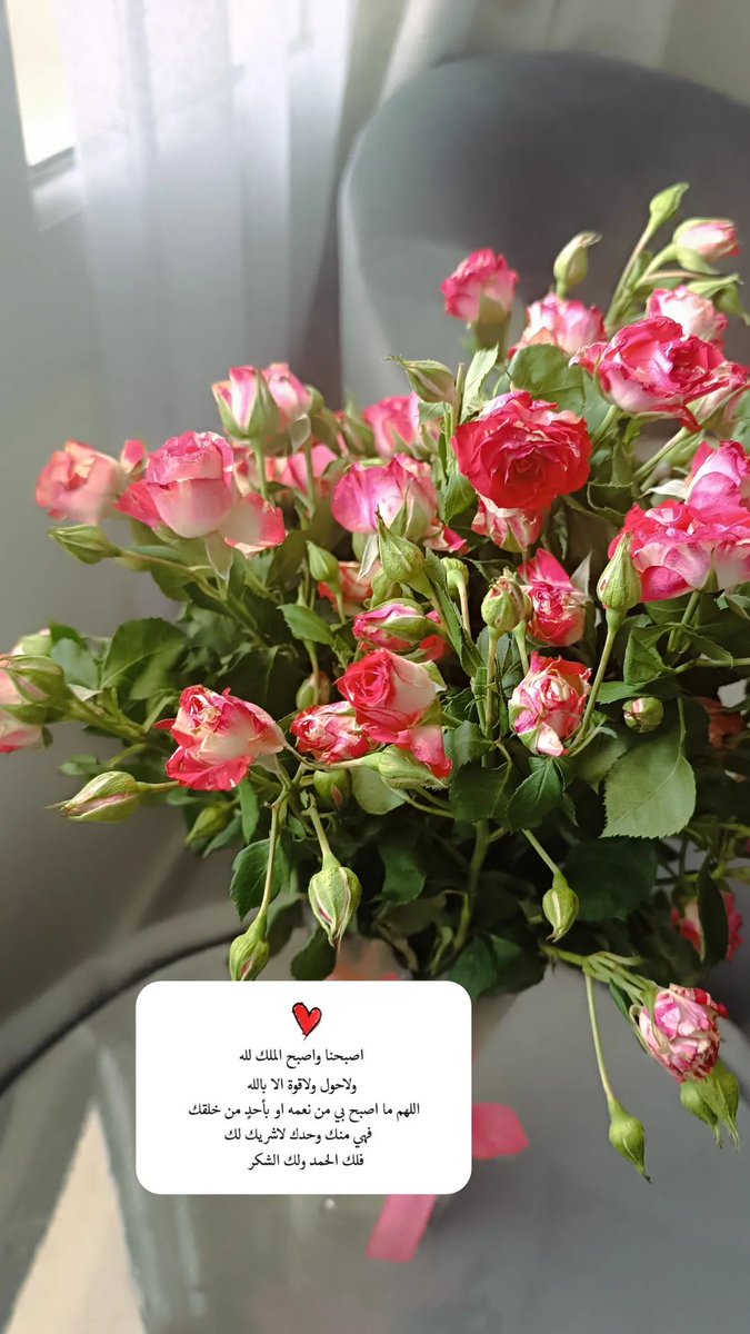 m_taim93's tweet photo. 🌷 https://t.co/Lz5jW2ZoDF