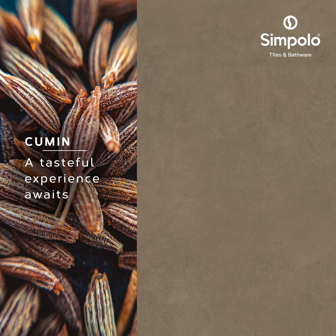 simpoloceramics's tweet image. Discover the Flavor of Simpolo's Cumin-Hued Tiles for a Tasteful Space.

#SimpoloTilesandBathware #SimpoloCollection #TilesCollection #TilesPattern #HomeDecor #SpectraCollection