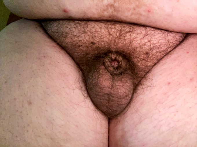 The lil guy is hiding today >.< https://t.co/B6NyuDGtPv<a href="/tag/fat"class="tags"><span>#fat</span></a><a href="/tag/moobs"class="tags"><span>#moobs</span></a><a href="/tag/hucow"class="tags"><span>#hucow</span></a><a href="/tag/bbwtrans"class="tags"><span>#bbwtrans</span></a>