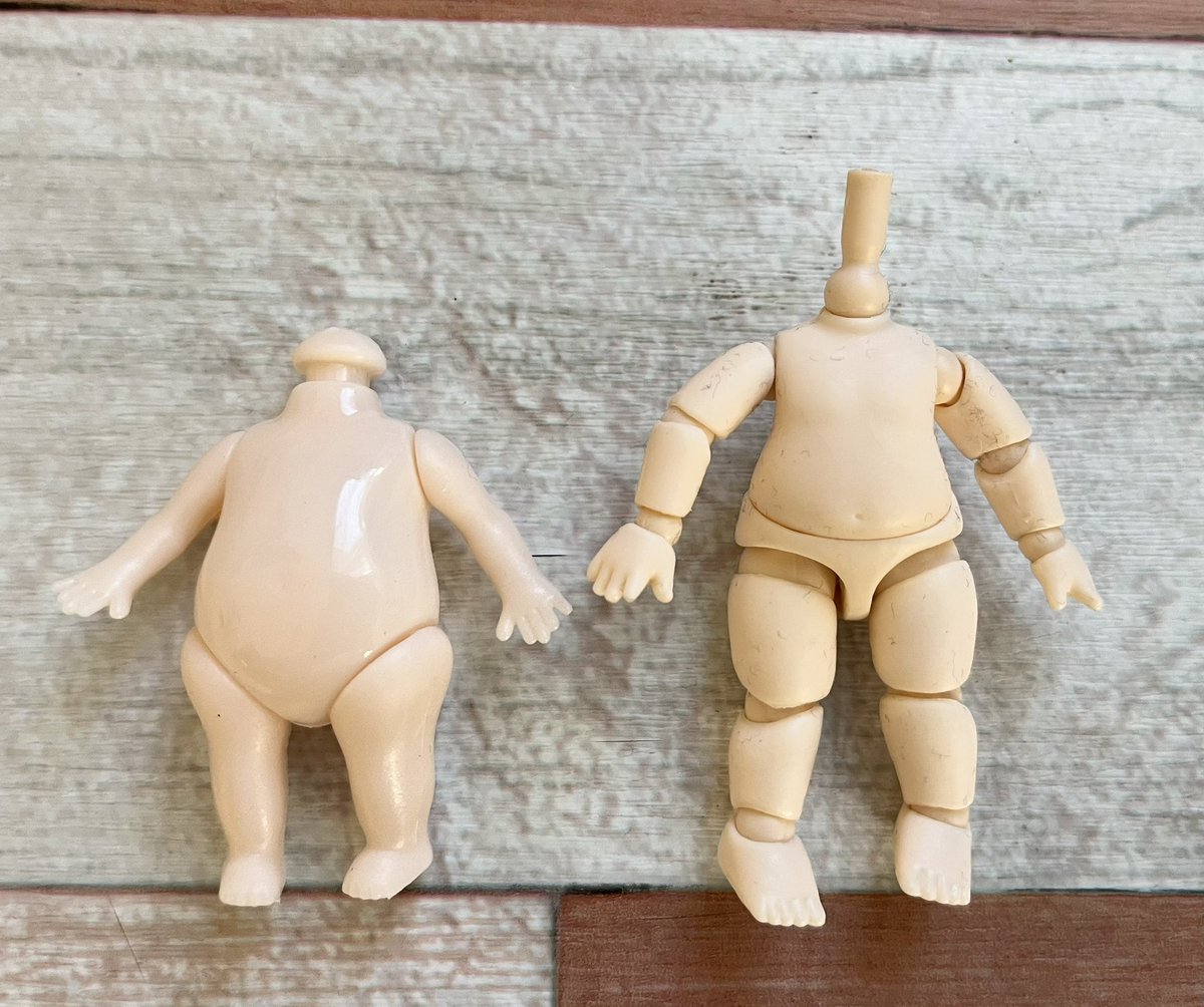 セリアミニボディとYmY幼体比較してみた。サイズ小さい💦試しにバニア