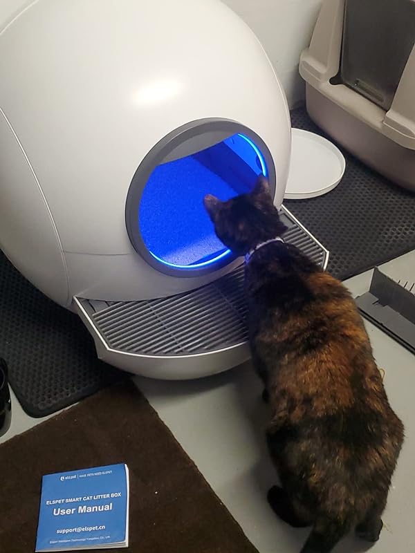 elspet_global's tweet photo. I am curious about this box and mesmerized by the lighting. I want to try it. Learn more https://t.co/UThTha2s3G
#elspet #elspets #catlover #catlitterbox
#CatBoxConvenience #AutoCleanKitty #LitterTechAdvantage #EffortlessHygiene
#KittyLooInnovations #CleanKittyCorner #ScoopFreeLiving #SmartPawSanitation