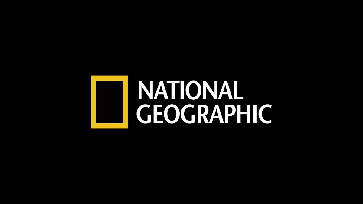 sashabirukoff's tweet photo. The best logos are simple https://t.co/VI0PjGLYlc