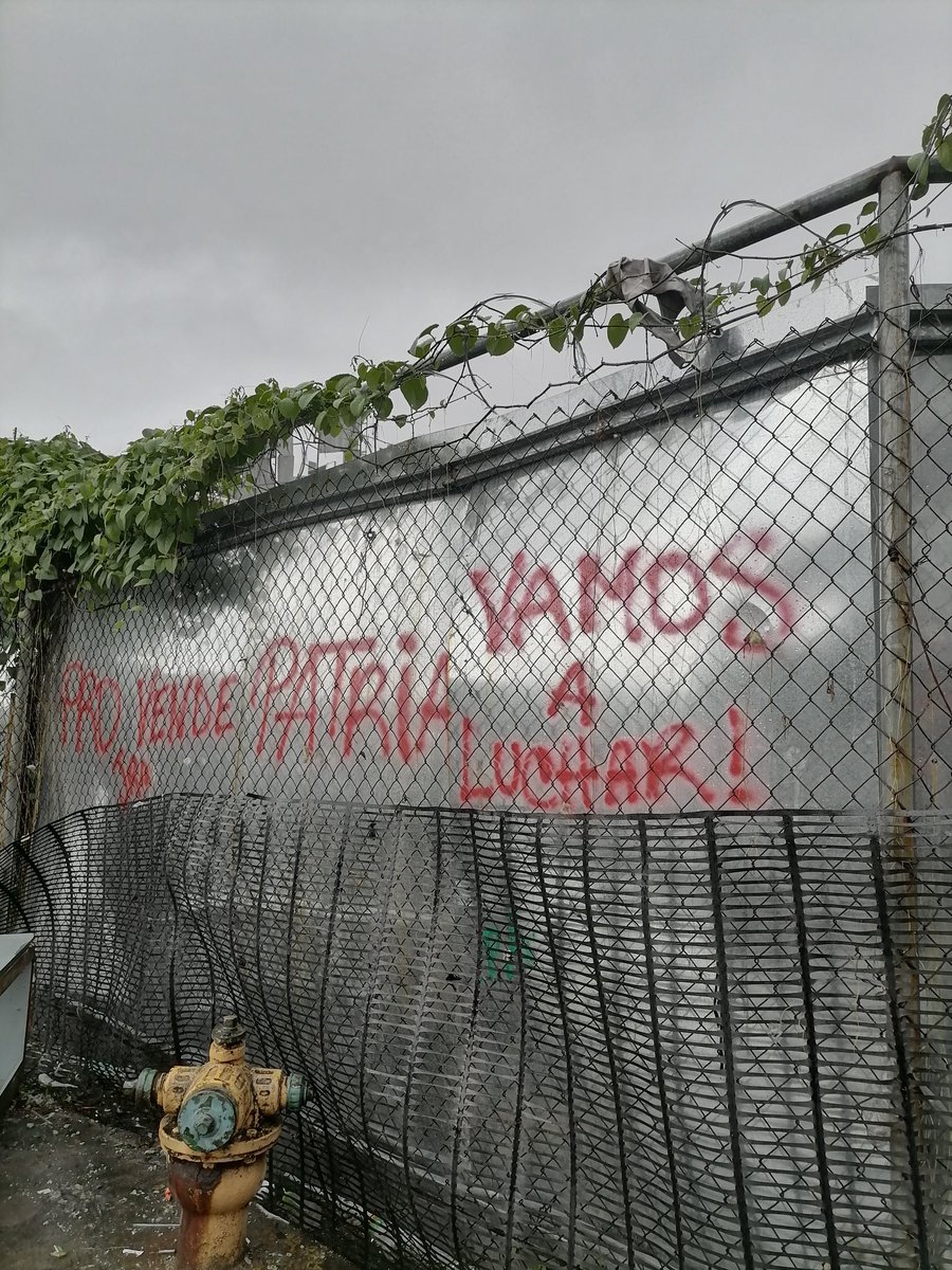 ChiariAxel's tweet photo. La patria no se vende.... #panama507 #PanamaProtesta #PanamaValeMásSinMineria #panamalucha #NoALaMineria #QxopaPanamá #noalacorrupción #sinluchanohayvictoria #PuebloUnido #panamanosevende #PanamaEnDirecto https://t.co/oDJ6xuQ95m