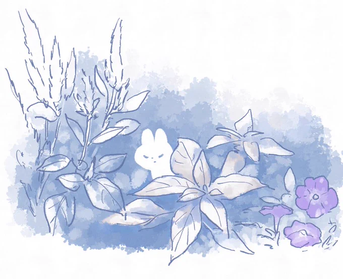 植物スケッチ