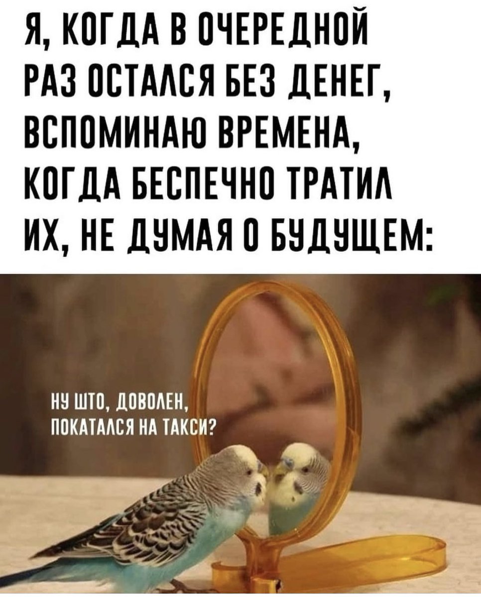 memesforwomen's tweet photo. https://t.co/gsKJ41D6cF