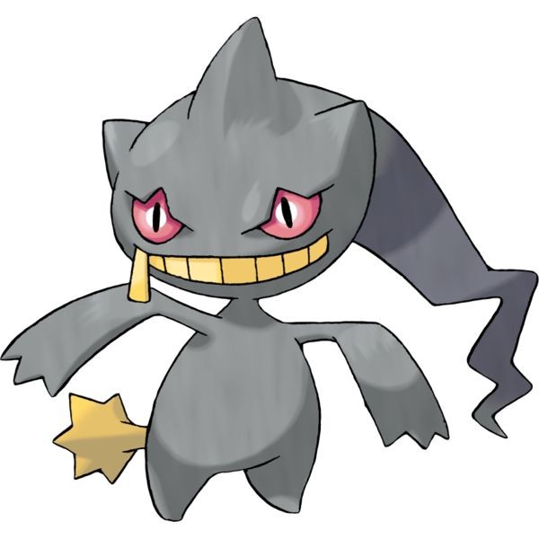 Moon97096862's tweet photo. post 4 of your favorite pokemon and let people assume things about you https://t.co/MjUDz4rBFx