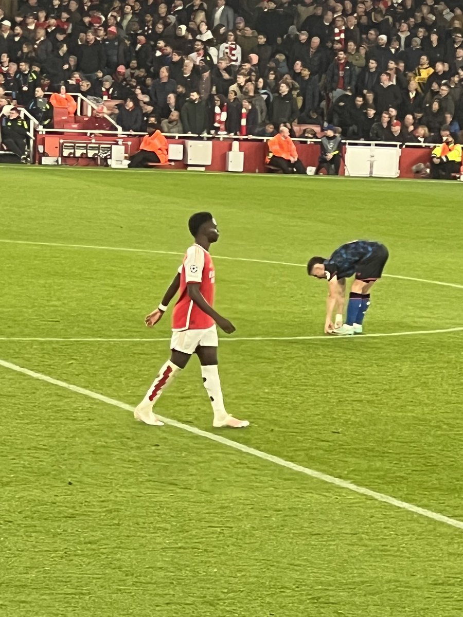 perry delaney tweet media