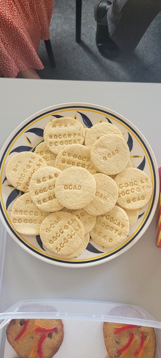 Ana 🌈🌿 tweet media