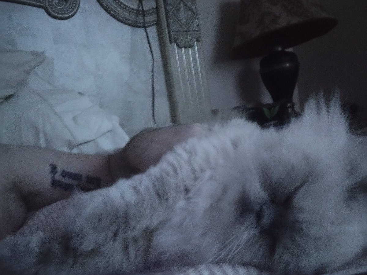 ferrera_jim's tweet photo. She still loves me! https://t.co/rblqRZ2iih