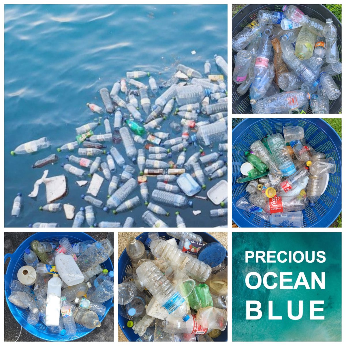 Precious Ocean Blue 🐳 tweet media