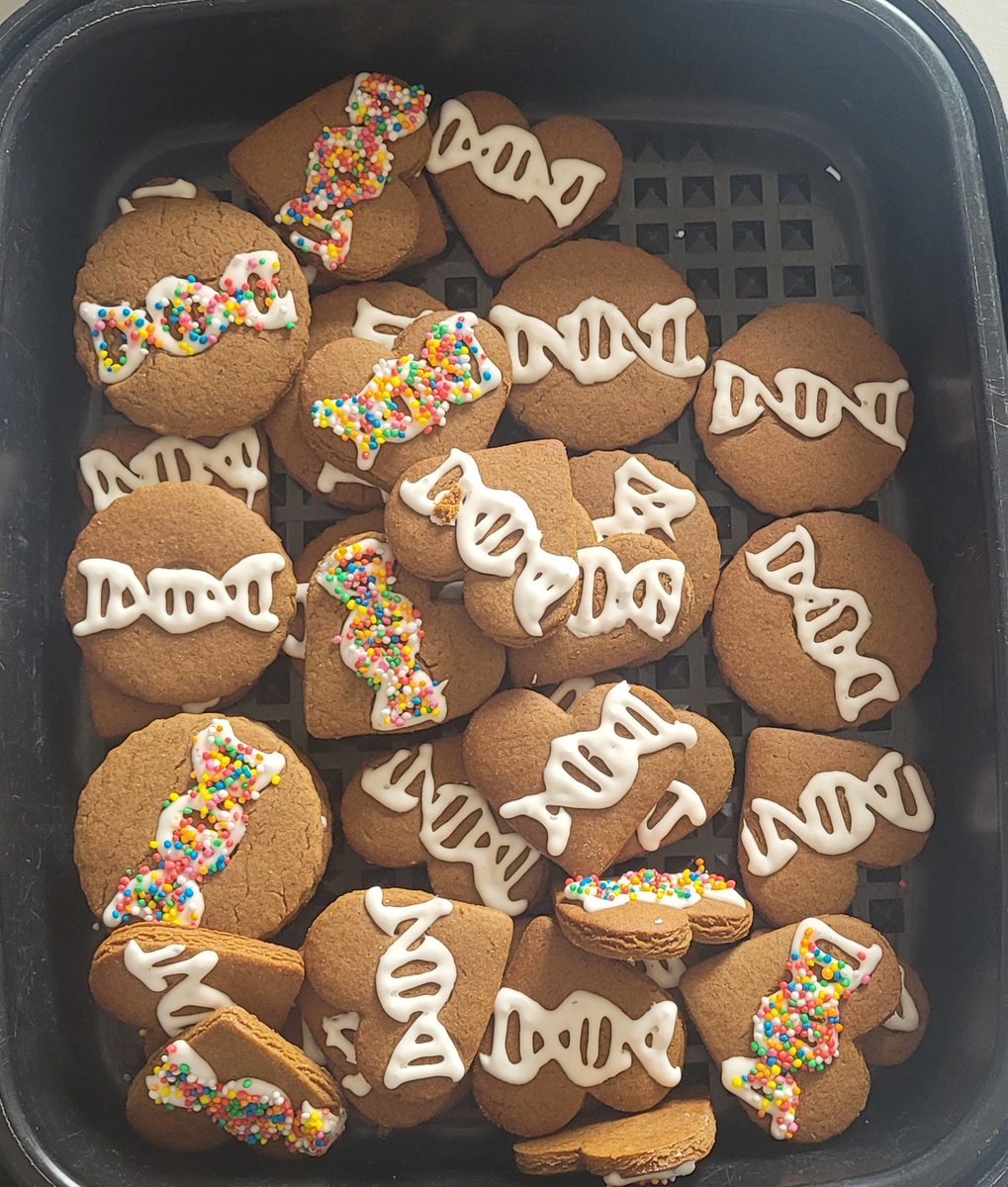 Ana 🌈🌿 tweet media