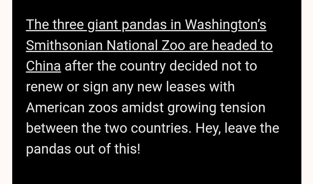 Liv 🌈 tweet media