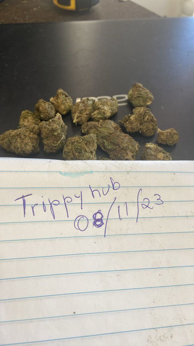 SenhorTrippy's tweet photo. Nossas Orange Kush Gold 2.0! #maconha #haxixe #hash #erva https://t.co/hTLZHUkYpH
