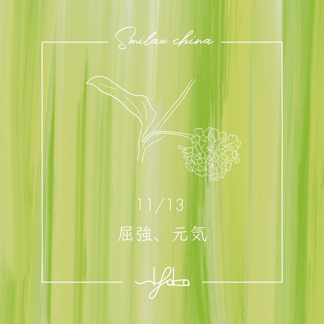 siyaka_480's tweet photo. おはようございます☀️
sIyaka（シヤカ）です💐

本日11/13の誕生花は『サルトリイバラ』
花言葉は『屈強、元気』

今日も力強い1日になりますように☺️ https://t.co/395pAIjrym