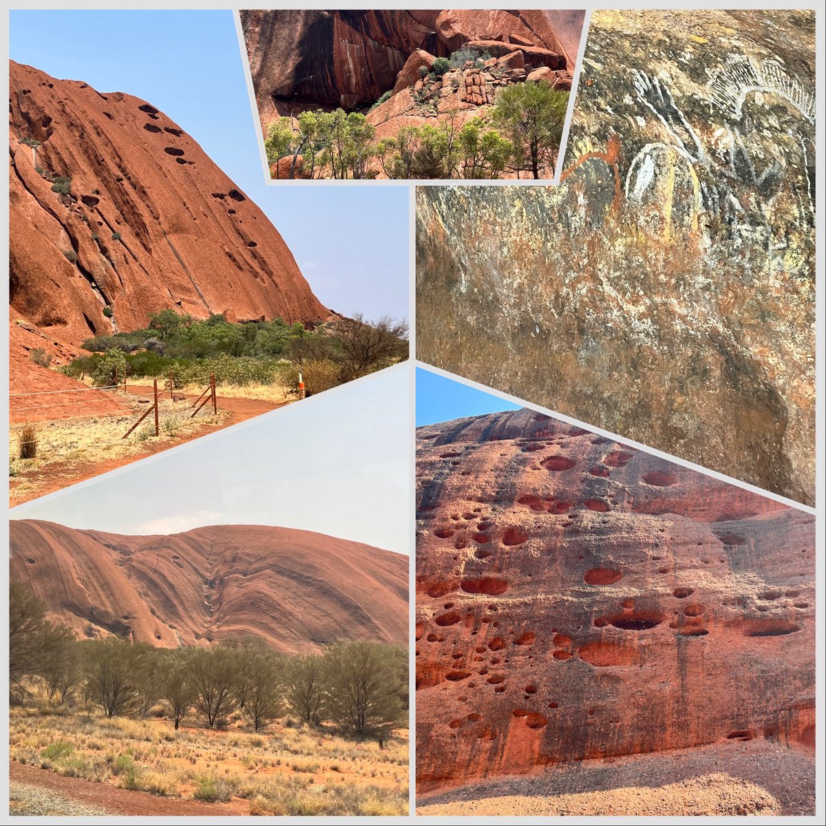 bkuni's tweet photo. Die heutigen Impressionen rund um den Uluru. Das war vormittags - bereits 34 Grad
#downundertour #aatkings https://t.co/KeVdpoqYoX