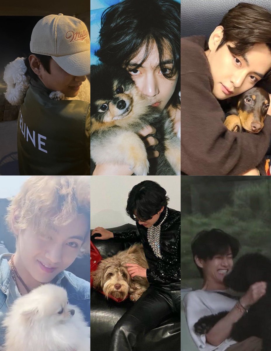taeteluv_'s tweet photo. this genre of taehyung with dogs 🐾 https://t.co/4kuTIAlGw8