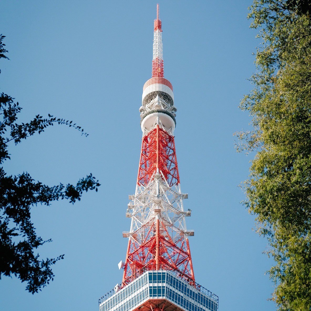 多喝冰水 tweet media