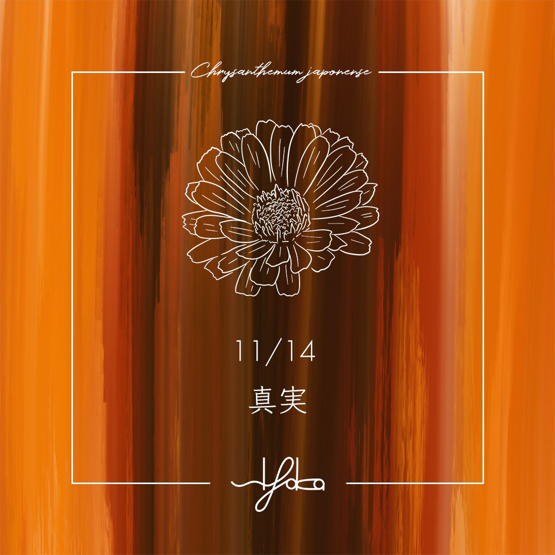 siyaka_480's tweet photo. おはようございます☀️
sIyaka（シヤカ）です💐

本日11/14の誕生花は『ノジギク』
花言葉は『真実』

今日も偽りのない1日になりますように☺️ https://t.co/UcqU8TMDUK