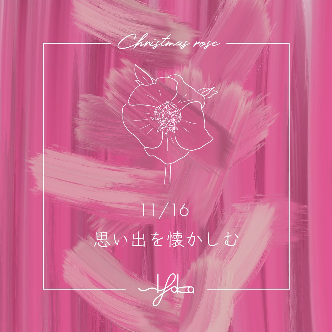 siyaka_480's tweet photo. おはようございます☀️
sIyaka（シヤカ）です💐

本日11/16の誕生花は『クリスマスローズ』
花言葉は『思い出を懐かしむ』

今日も印象的な1日になりますように☺️ https://t.co/29TpZrTqnd