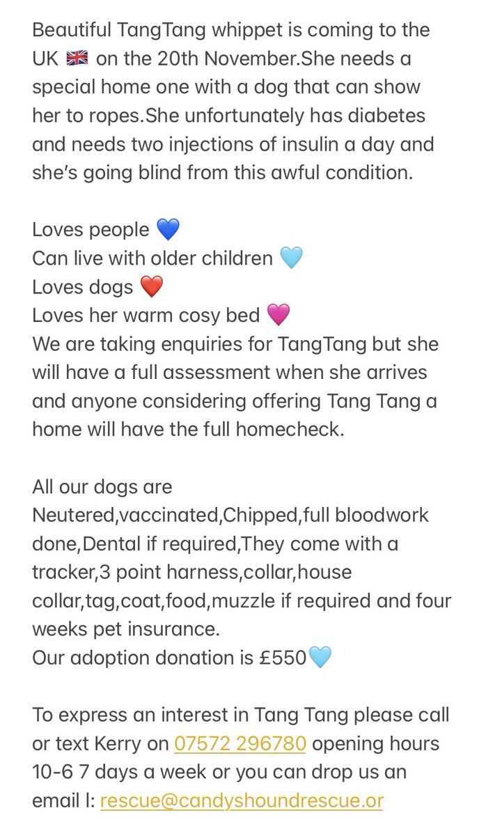 CandyCaneRescue's tweet photo. TangTang will be arranging in the uk later this month 🥰🥰

She will be going into #foster to be assessed 

She has #diabetes and requires daily injections 

Read about this gorgeous girl below 👇 
#flighttofreedom
#enddogmeattrade 
#rescuedogs https://t.co/df8XX5Ak5c