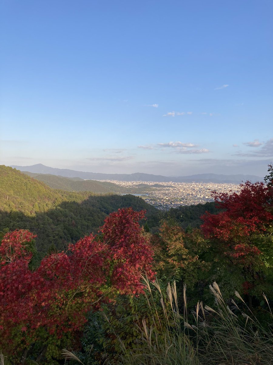 Madkosmos tweet media