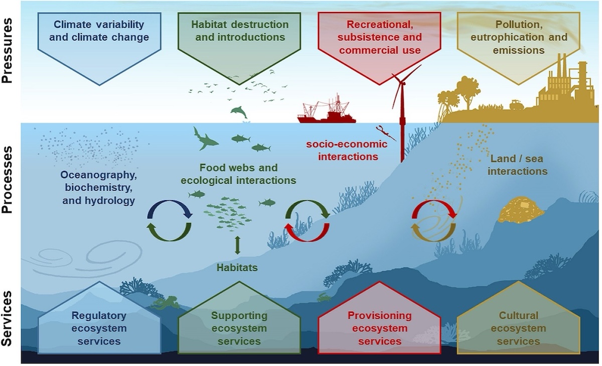 EcoScopium's tweet photo. Researchers of EcoScope project published a study on “Using ecosystem models to inform ecosystem-based fisheries management in Europe: a review of the policy landscape and related stakeholder needs” in the academic journal @FrontMarineSci. 🪼🐟👉
https://t.co/UKyEWtOMXO #EBFM https://t.co/WCoNJVUxMI