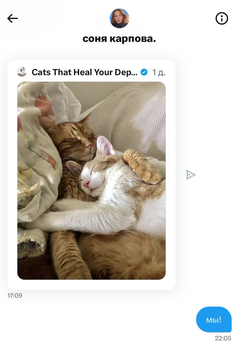 что за бред..